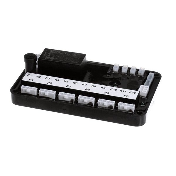 Module, I/O Electronic Clt
